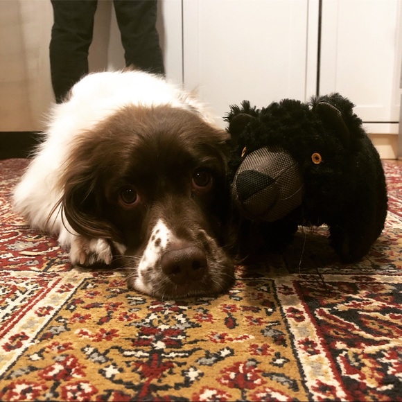 Meet your Posher, Haley - Picture 1 of 1